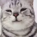 ස්ටිකර්