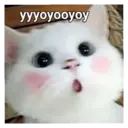 ස්ටිකර්