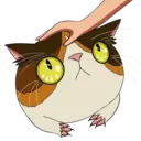 ស្ទីកเกอร์