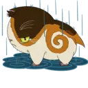 ស្ទីកเกอร์