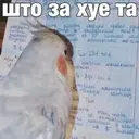 ស្ទីកเกอร์