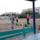 ස්ටිකර්