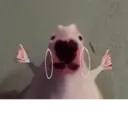 ស្ទីកเกอร์