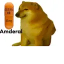 ස්ටිකර්