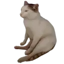 ස්ටිකර්