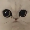 স্টিকার