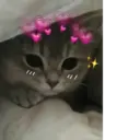 স্টিকার