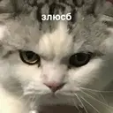 স্টিকার