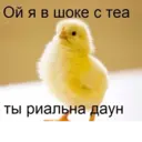 ස්ටිකර්