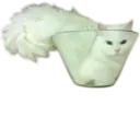 ස්ටිකර්