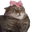 ස්ටිකර්