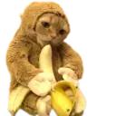 ස්ටිකර්