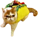 ස්ටිකර්