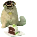 ස්ටිකර්