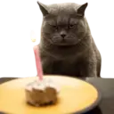 ස්ටිකර්