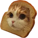 ස්ටිකර්