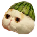 ස්ටිකර්