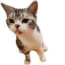 ස්ටිකර්