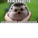 স্টিকার