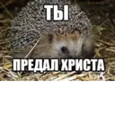 স্টিকার