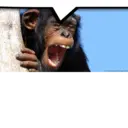 స్టికర్