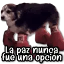 স্টিকার