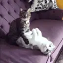 స్టికర్