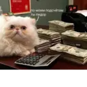 ஸ்டிக்கர்