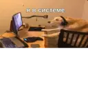 ஸ்டிக்கர்