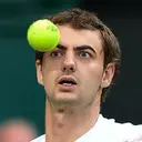 Կպչուն պիտակ