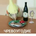 ஸ்டிக்கர்