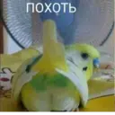 ஸ்டிக்கர்