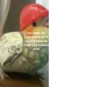 ஸ்டிக்கர்