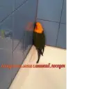 ஸ்டிக்கர்