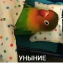 ஸ்டிக்கர்