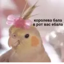 ஸ்டிக்கர்