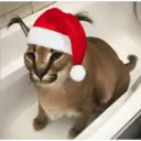 ස්ටිකර්