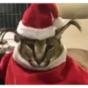 ස්ටිකර්