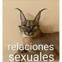 ස්ටිකර්