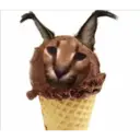 ස්ටිකර්