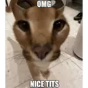 ස්ටිකර්