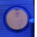 স্টিকার