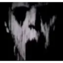 ස්ටිකර්