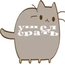 Կպչուն պիտակ