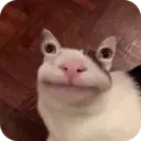 স্টিকার