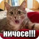 স্টিকার