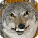 স্টিকার