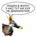 ស្ទីកเกอร์