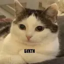 สติกเกอร์