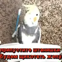 Стикер